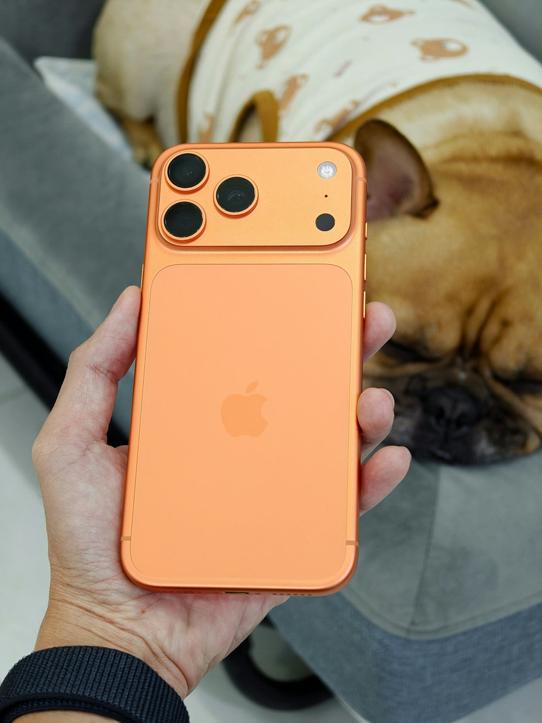 How to Protect Your New iPhone 17 Pro from Scratches and Dents