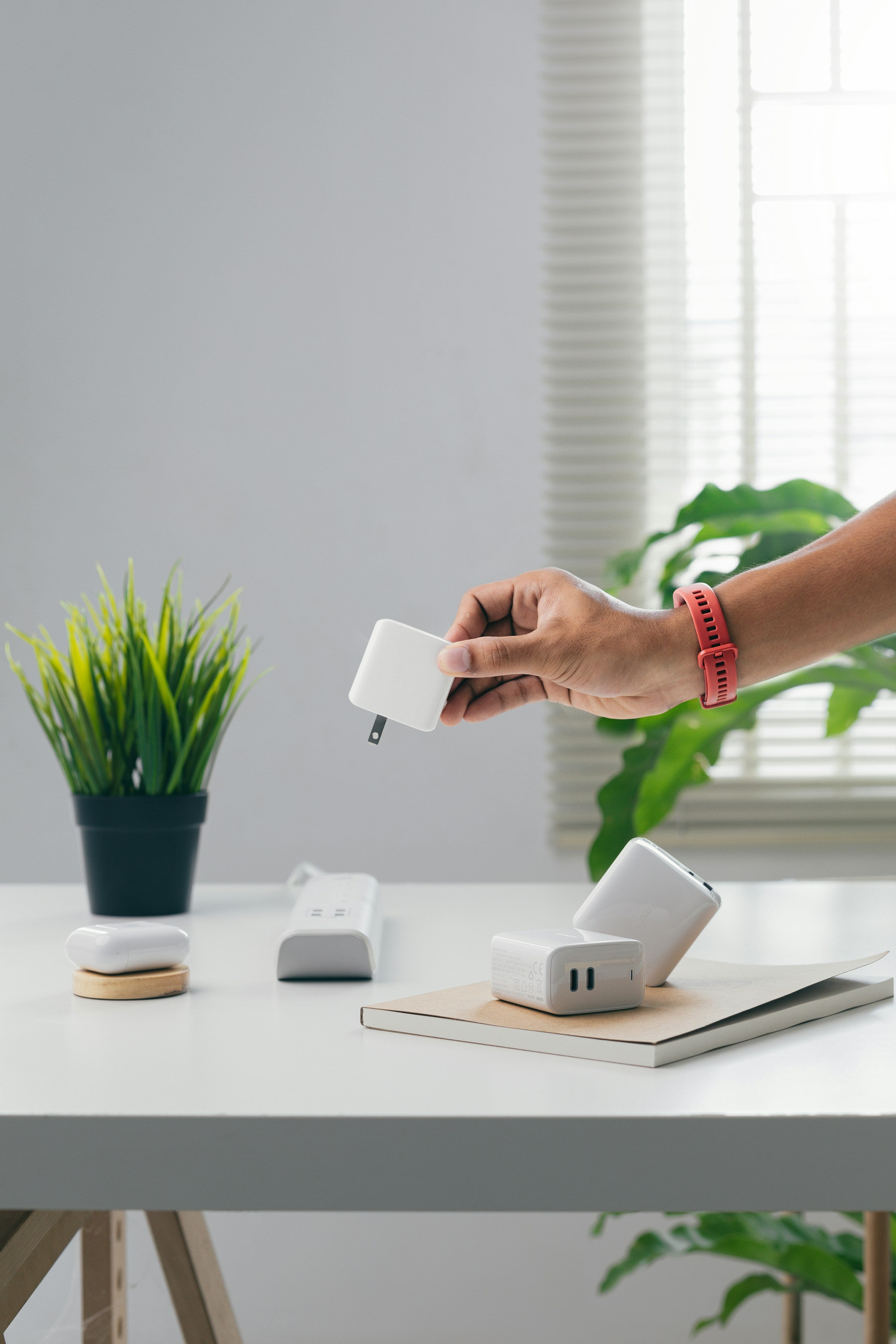 Person holding a power brick on a desk with plants and books in the background